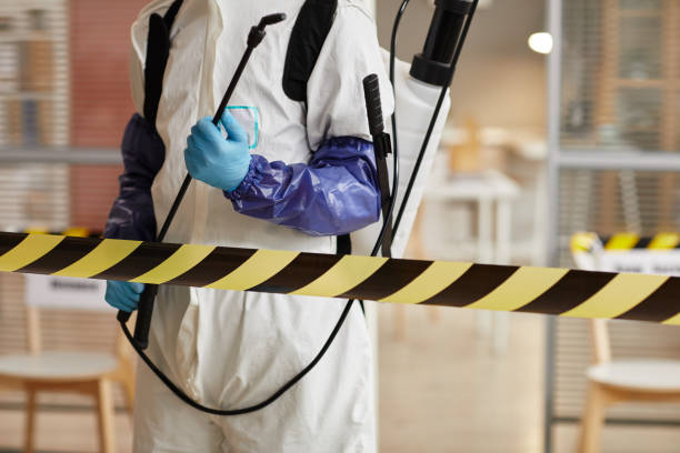 Professional Hoarding Cleanup technician working in Alloway, NJ